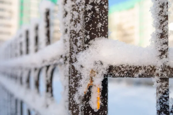 Chaves Estão Penduradas Uma Cerca Congelada Neve — Fotografia de Stock