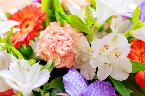 Güzel Yaz Çiçekleri Kapanıyor — Stok fotoğraf