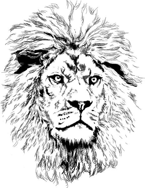 Lion with big mane Royalty Free Stock Illustrations