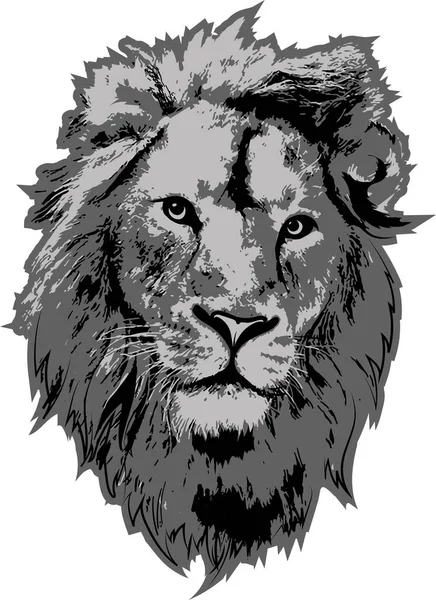 Lion Head Gray Colors Interpretation Can Logo Embleme Stock Vector