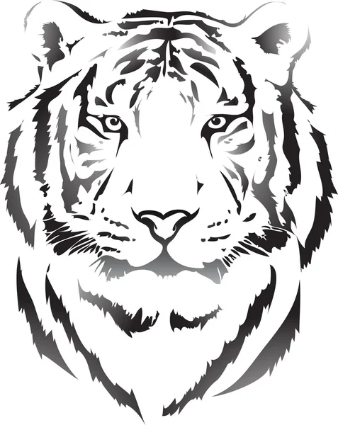 Tiger head Stock Vector