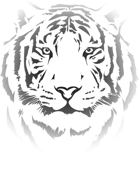 Tiger head Stock Illustration