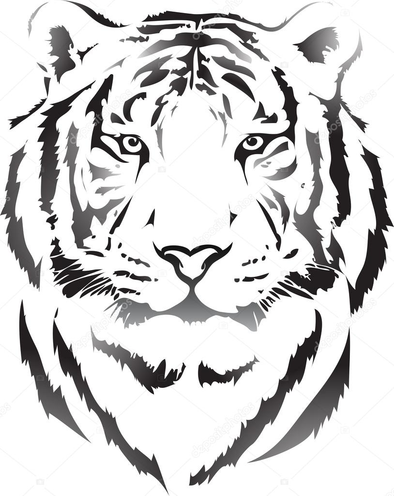 Tiger head