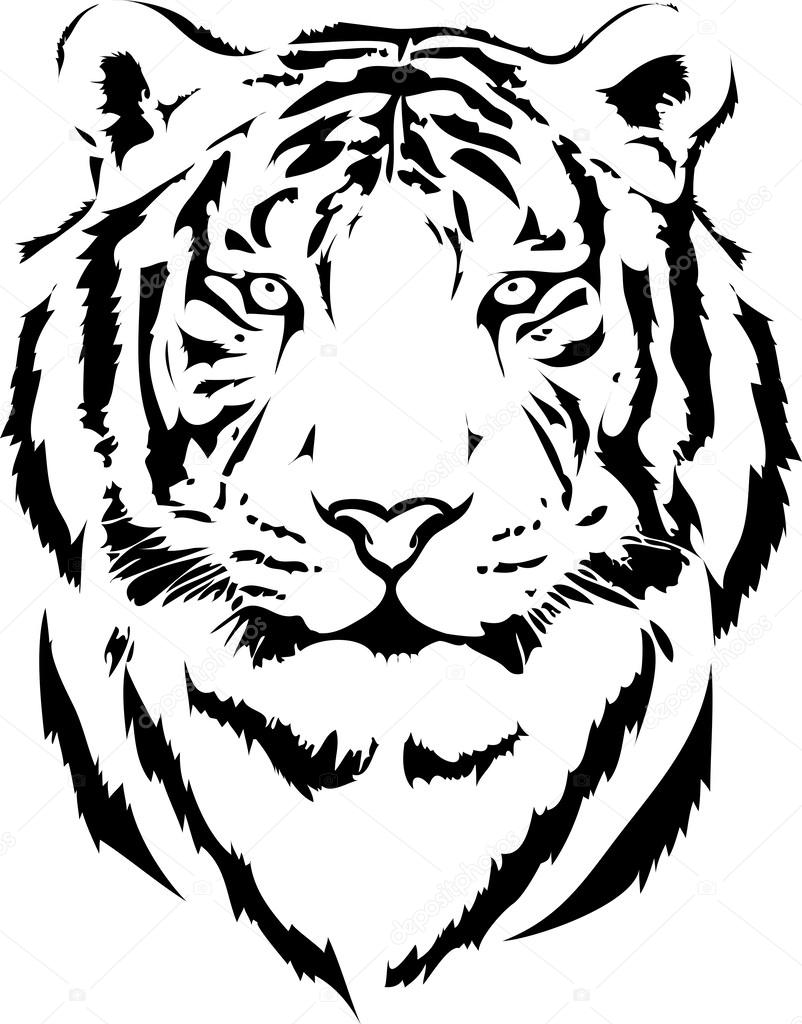 free tiger head clip art - photo #48