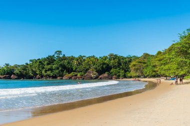 Paradisiacal Brezilya sahilinde ormanı olan turistler.