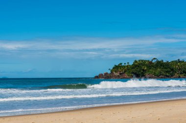 Brezilya plajının tropikal manzarası.