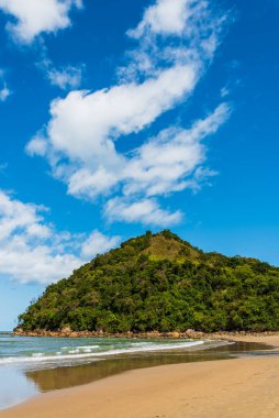 Güneşli bir yaz gününde Brezilya adasında tropikal ağaçlarla kaplı bir tepe.