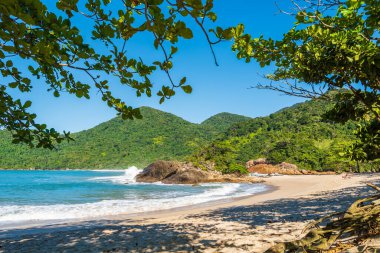 Brezilya 'da, tropikal ormanlarla kaplı dağların arasında güzel ve vahşi küçük bir sahil manzarası.