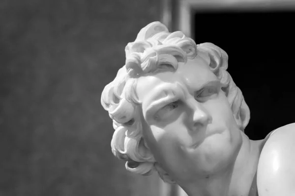 Czarno Białe Zdjęcie Zbliżeniu Napiętej Twarzy Posągu Davidsa — Zdjęcie stockowe