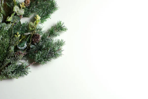 Modelo Inverno Natal Ano Novo Ramo Pinho Gelado Verde Decorativo — Fotografia de Stock