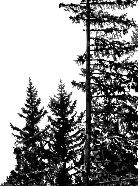 Silhouettes Sapins Isolés Sur Fond Blanc Fond Vertical Monochrome Naturel — Image vectorielle