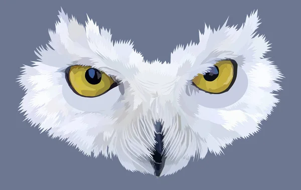 Polární Sova Maska Izolované Šedém Pozadí Žluté Velké Kulaté Oči — Stockový vektor