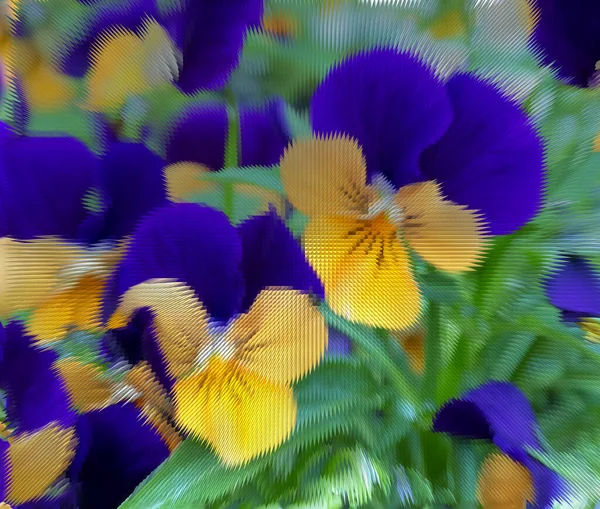 Violets Close Background Leaves Flowers Imitation Ribbed Glass Floral Bright — Stock Photo, Image