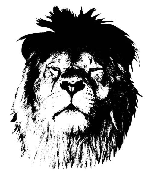 Портрет Гордого Льва Графика Белом Фоне Иллюстрация Вектор Eps10 — стоковый вектор