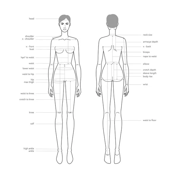 Mulheres partes do corpo terminologia medições Ilustração para roupas e acessórios de produção moda tamanho senhora gráfico —  Vetores de Stock