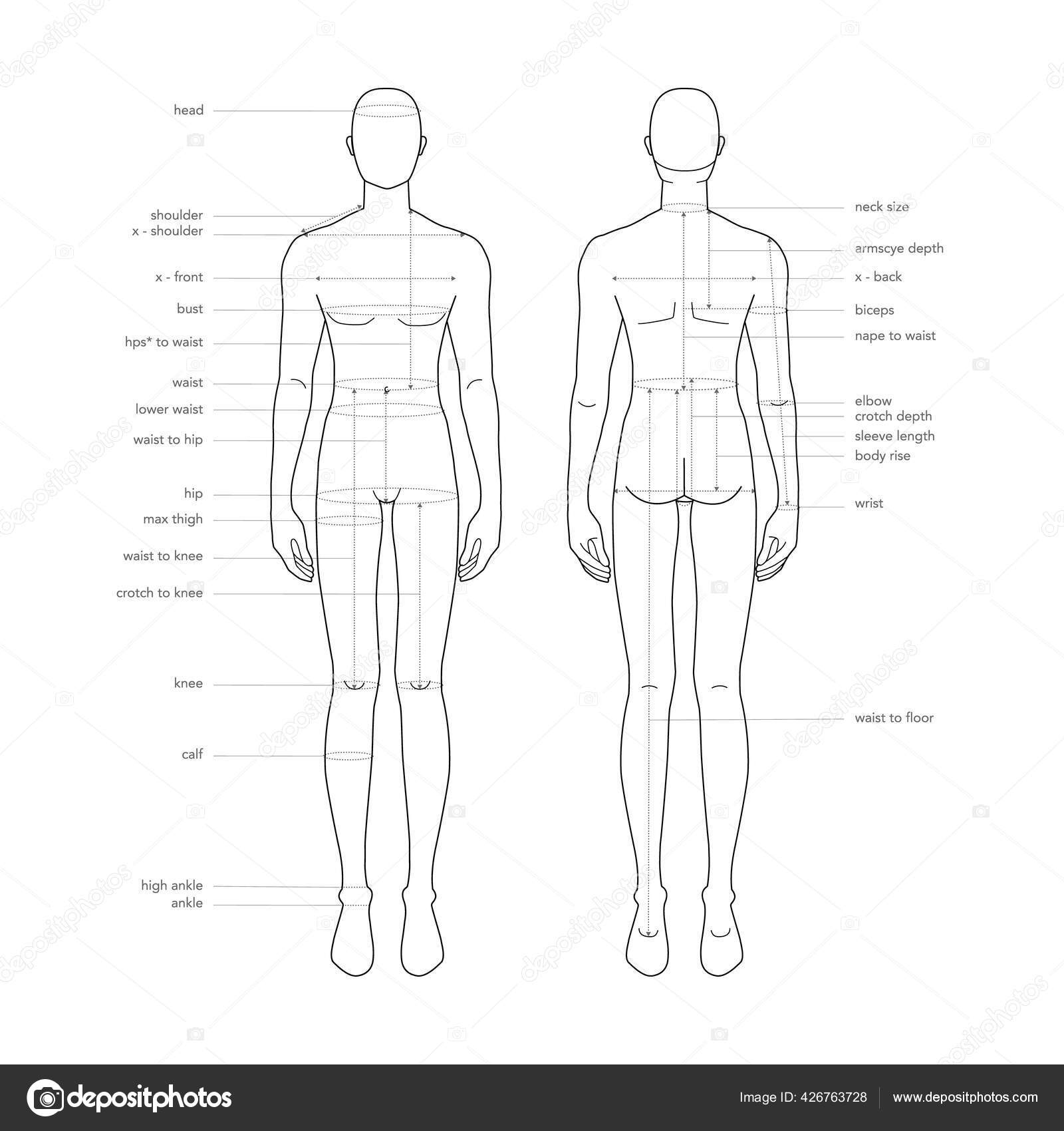 Homens corpo partes terminologia medições Ilustração para roupas e  acessórios produção moda tamanho gráfico masculino imagem vetorial de  Katya_Golovchyn© 426763728