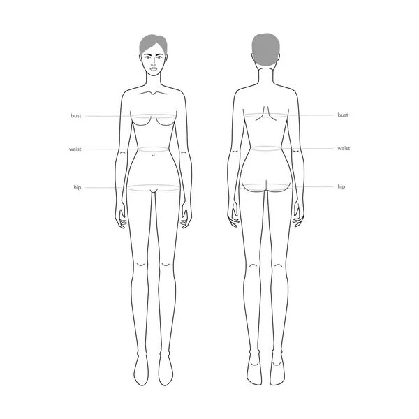 Mujeres estándar cuerpo partes terminología medidas Ilustración para ropa y accesorios producción moda dama tamaño — Archivo Imágenes Vectoriales