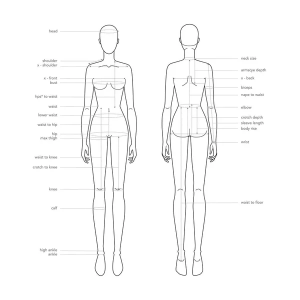Hakuun Breast Size Female Body Silhouette Side liittyvä vektorikuva  (rojaltivapaa) 481973734