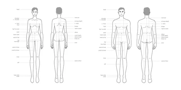 Mesures terminologiques des parties du corps hommes et femmes Illustration pour la mode de production de vêtements et accessoires — Image vectorielle