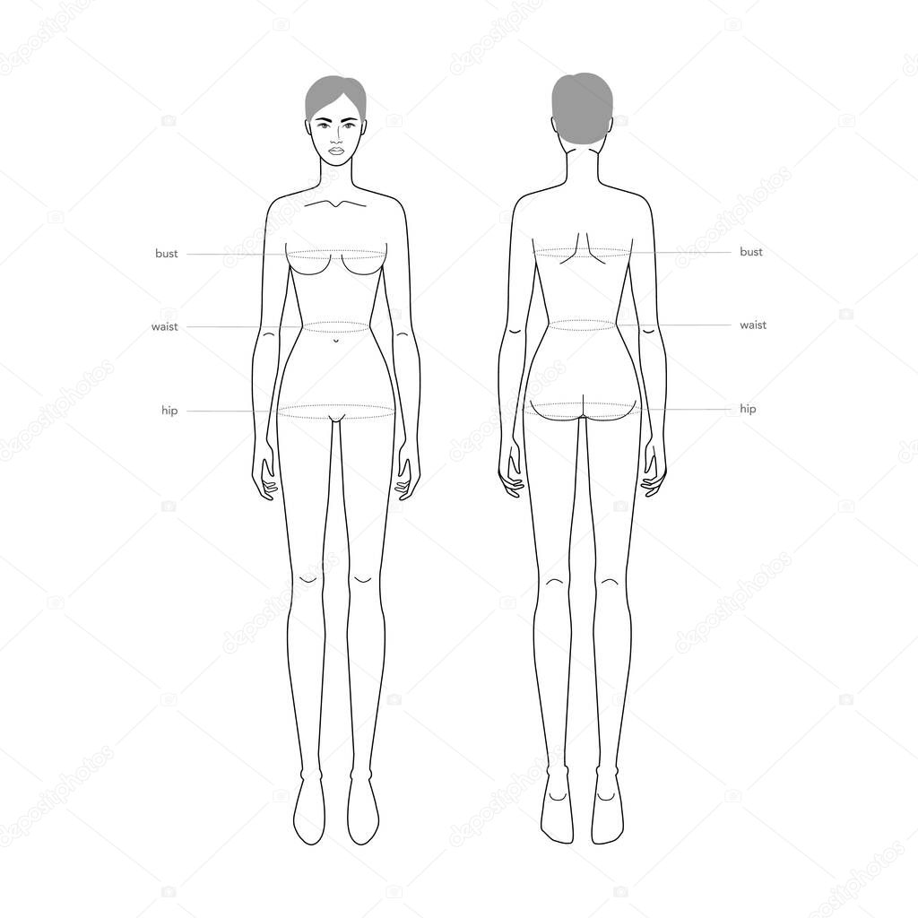 Women standard body parts terminology measurements Illustration for clothes and accessories production fashion lady size