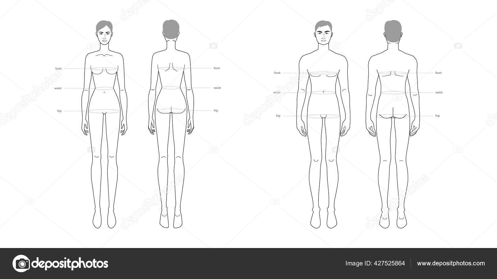 Men and women standard body parts terminology measurements