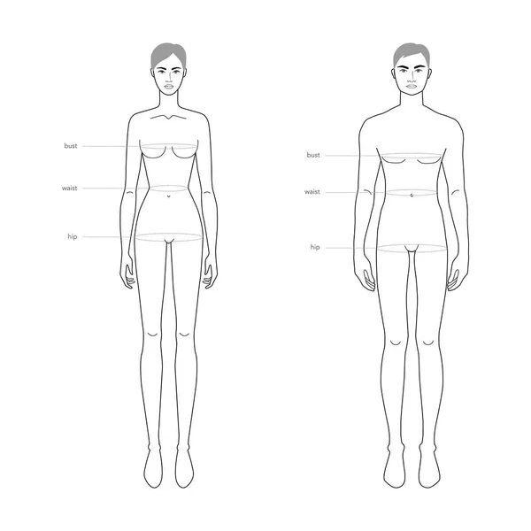 Homens e mulheres padrão partes do corpo terminologia medições Ilustração para roupas e acessórios produção de moda —  Vetores de Stock