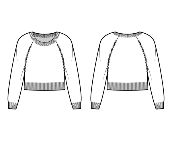 Ronde hals Trui bijgesneden technische mode illustratie met lange raglan mouwen, taille lengte, rib trim Platte trui — Stockvector