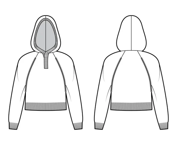 Vágott kapucnis pulóver technikai divat illusztráció bordás henley nyak, hosszú raglan ujjú, pihenni illik, derék hossza — Stock Vector
