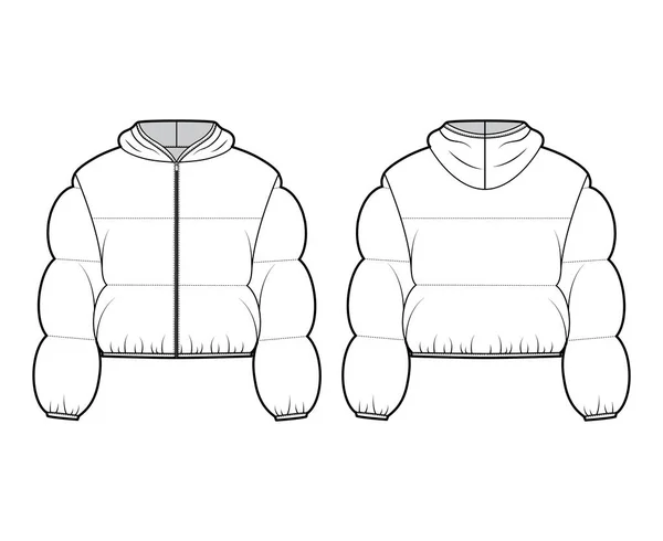 Chaqueta con capucha Chaqueta de plumón ilustración técnica de moda con mangas largas, cierre con cremallera, ajuste en caja, longitud de la cosecha — Vector de stock