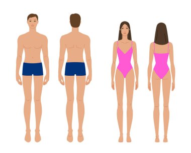 Erkek ve kadın vücut kalıpları ön ve arka görünüm, ten rengi bej ten rengi ton çeşitliliği erkek, kadın. Moda tasarımı için düz vektör anatomisi modeli, giyim provası, oranlar, ölçüm, sanat referansı