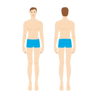 Önden ve arkadan gösterilen mavi gövdeli erkek vücudu, dikiş desenleri için vektör şablonu, boyut rehberi, giysi tasarımı, anatomi eğitimi, moda illüstrasyonu, vücut ölçümü referansı.