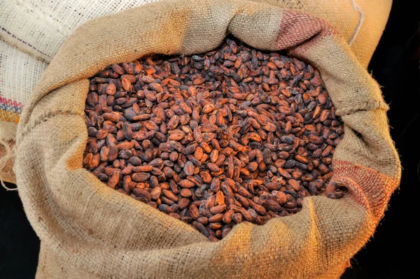 Çuvaldaki kakao çekirdekleri. Fasulyeden bara