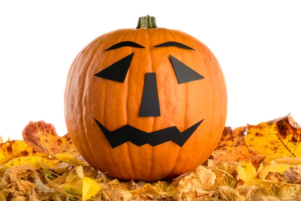 Halloween Jack Lantern Narancs Tök Elesett Száraz Sárga Levelek Fehér — Stock Fotó