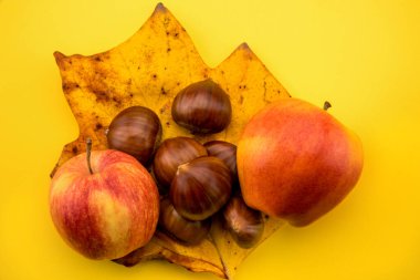 Kraliyet gala tipi kırmızı elmalar ve sonbahar kompozisyonunda kuru yaprak üzerinde kestaneler sarı arka plan görünümünde