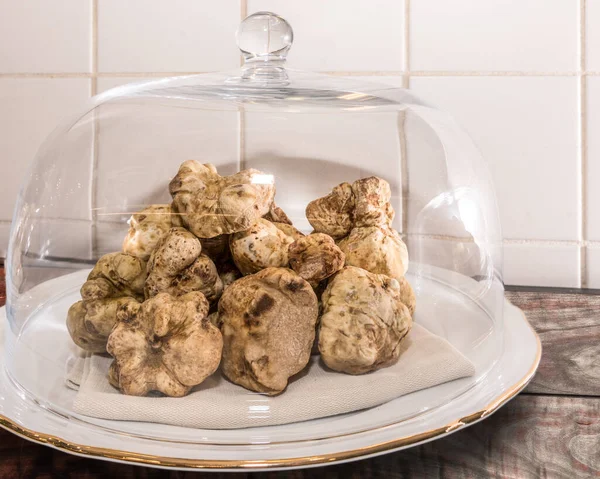 white truffles from Alba under a glass bell