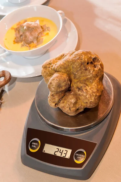 a big nice white truffle on the scales indicating the weight in grams, in the background two-handled cup with cheese fondue and sliced truffles