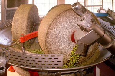 İtalya 'daki yuvarlak taş değirmeninin zeytinlerden ekstra bakire zeytin yağı çıkarması.