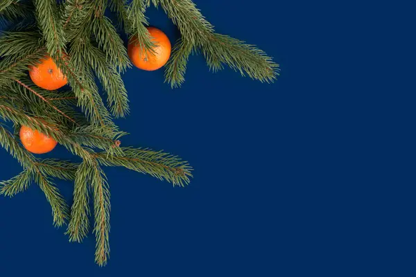 Karácsony Kék Keret Háttér Karácsonyi Dekoráció Fenyő Fenyő Ágak Mandarin — Stock Fotó