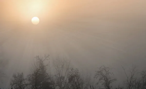 Promienie Słońca Porannej Mgle Przez Gałęzie Drzew Zimie Poranna Mgła — Zdjęcie stockowe