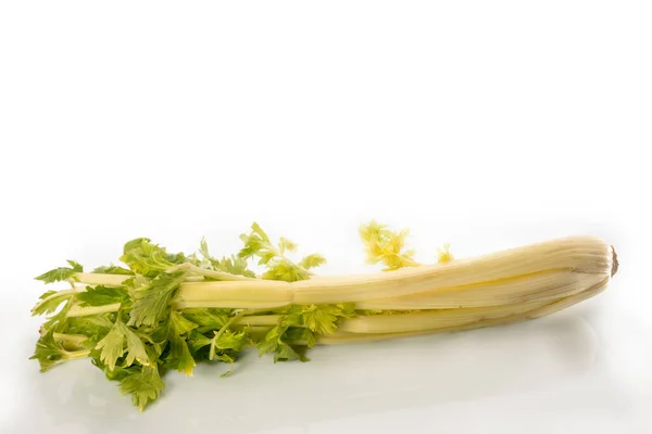 Celery Izolované Bílém Pozadí Kopírovací Prostor — Stock fotografie