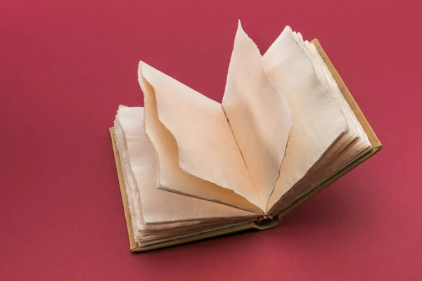 Open Antique Style Book Pages Rough Paper Jagged Edges Antique — Foto de Stock