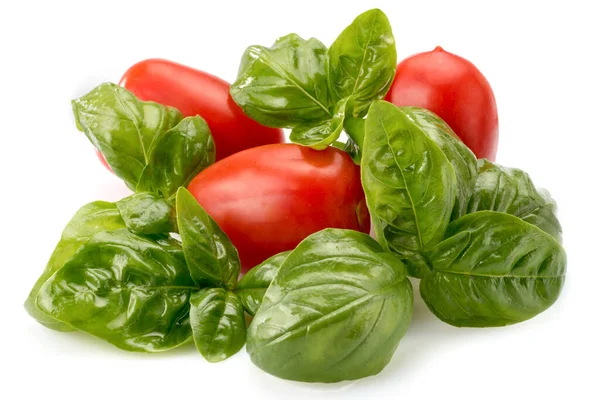 Manjericão Tomates Isolados Sobre Fundo Branco — Fotografia de Stock