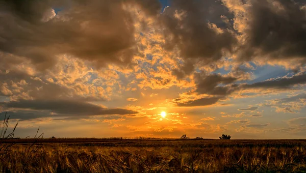 Закат Восход Солнца Над Пшеничным Полем Ярким Красочным Облачным Небом — стоковое фото
