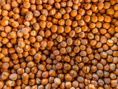 Fındık kabukları kabuklarında fındık dokuları olan arka plan, tam boy bir arka plan olarak düzenlenmiş.