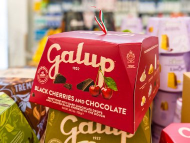 Italy - November 21, 2025: Galup panettone with chocolate and black cherries in classic packaging displayed for sale in Italian supermarket, famous panettone cake originating in Pinerolo, Turin.