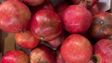 Üstten bakıldığında hindiba ya da kuşkonmaz hindiba, markette sandıkta sergilenen hindiba katalonisinin izini sürmek.