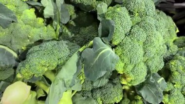 Brokoli sandıklara yerleştirilmiş, yukarıdan görüntüyü takip ediyor.