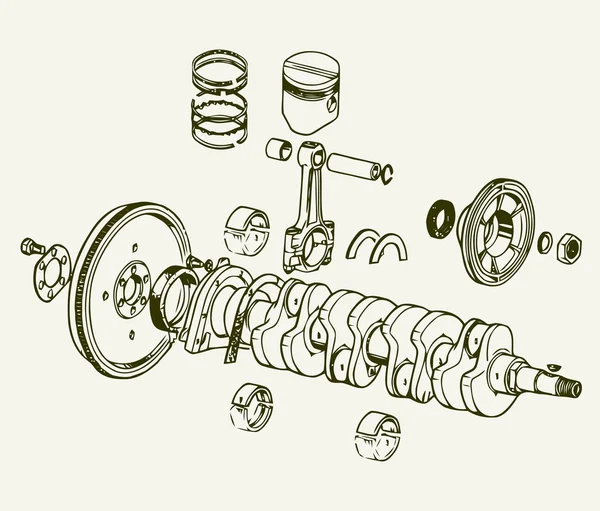 Krukas vergadering — Stockvector