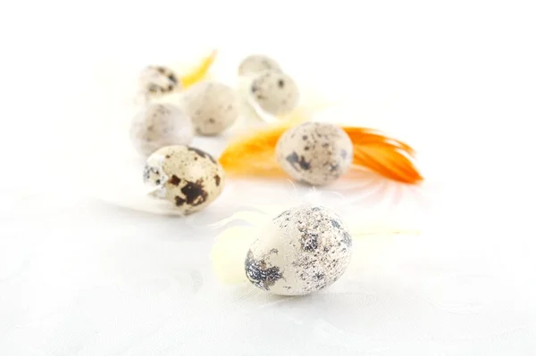 Beyaz masa örtüsü üzerinde dağınık Paskalya Bıldırcın yumurta — Stok fotoğraf