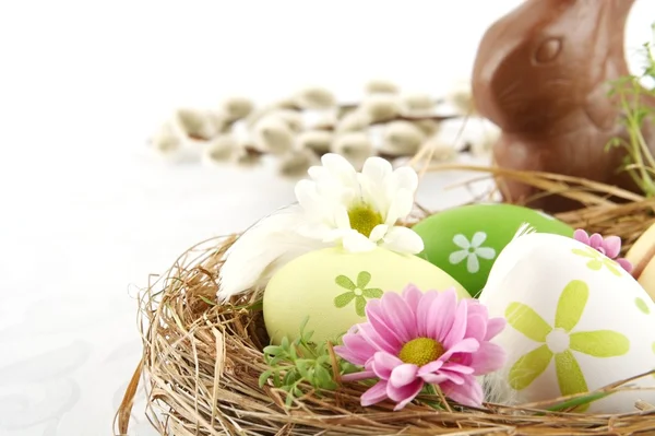 Oeufs de Pâques photo nid avec des fleurs, lièvre chocolat, chatons — Photo